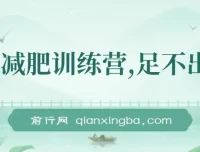线上减肥训练营实操教程，社群运营与朋友圈变现，轻松实现月入五位数