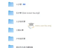 少儿武术入门合集：拳法套路与健身操系统教学
