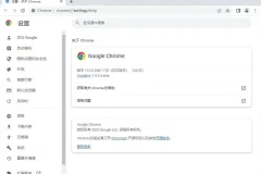 谷歌 Chrome 浏览器 v119.0.6045.124 官方正式版绿色优化版（支持 Win7）