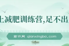 线上减肥训练营实操教程，社群运营与朋友圈变现，轻松实现月入五位数