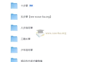 少儿武术入门合集：拳法套路与健身操系统教学
