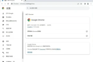 谷歌 Chrome 浏览器 v119.0.6045.124 官方正式版绿色优化版（支持 Win7）