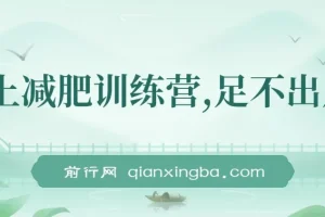 线上减肥训练营实操教程，社群运营与朋友圈变现，轻松实现月入五位数