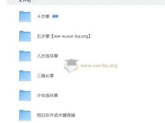 少儿武术入门合集：拳法套路与健身操系统教学
