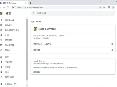 谷歌 Chrome 浏览器 v119.0.6045.124 官方正式版绿色优化版（支持 Win7）