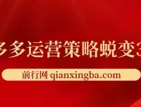 2024拼多多运营策略蜕变3.0：从认知到盈利的全链路实战指南