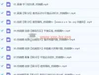 2024高一物理寒假班 林婉晴A+课程 持续更新