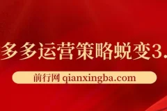 2024拼多多运营策略蜕变3.0：从认知到盈利的全链路实战指南