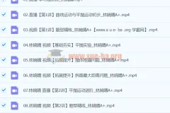 2024高一物理寒假班 林婉晴A+课程 持续更新