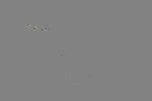 西瓜视频流量掘金项目：小白也能掌握的日入数百实操玩法