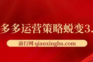 2024拼多多运营策略蜕变3.0：从认知到盈利的全链路实战指南