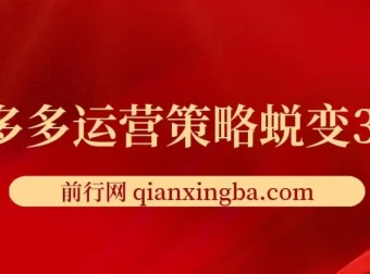 2024拼多多运营策略蜕变3.0：从认知到盈利的全链路实战指南
