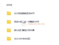 北大英语娘娘语法+核心词汇暴涨计划+英语大招+北大才女16000词汇