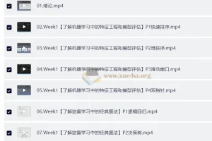 深度之眼百面机器学习与LeetCode算法面试班第四期