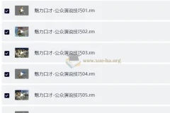 李真顺魅力口才：公众演说技巧实战教程