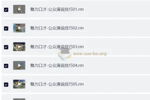 李真顺魅力口才：公众演说技巧实战教程