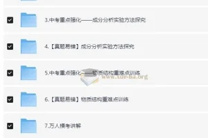 2024春下初三中考化学陈潭飞A+班专题精讲