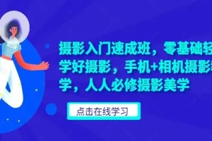 摄影入门速成班：零基础轻松掌握摄影美学，手机与相机通用教程