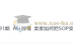 AI+跨境实战课：把运营SOP变成可复制的AI员工