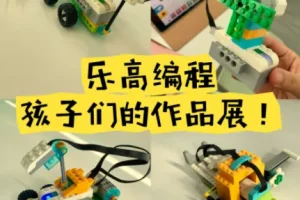 青少年乐高编程课程合集：从大颗粒搭建到机械启蒙的全体系教程