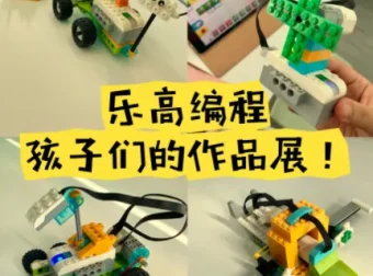青少年乐高编程课程合集：从大颗粒搭建到机械启蒙的全体系教程