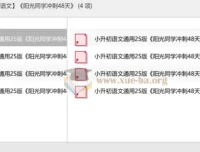 2025小升初语文冲刺必备：《阳光同学冲刺48天》备考资料合集
