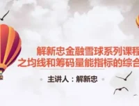 解新忠职业操盘手筹码技术课（9节完整版）