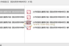 2025小升初语文冲刺必备：《阳光同学冲刺48天》备考资料合集