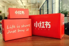 小红书提款机实战教程：素人博主从0到1接单全攻略，账号定位到长期合作陪跑