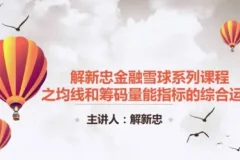 解新忠职业操盘手筹码技术课（9节完整版）