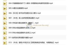 庄周不梦蝶《AI图文带货视频课程》零基础实操指南