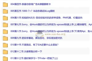 安卓逆向入门教程《安卓逆向这档事》完整版