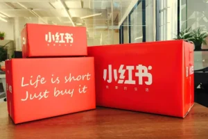 小红书提款机实战教程：素人博主从0到1接单全攻略，账号定位到长期合作陪跑