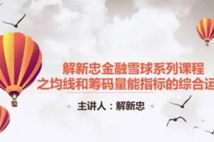解新忠职业操盘手筹码技术课（9节完整版）