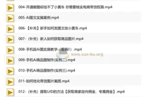 庄周不梦蝶《AI图文带货视频课程》零基础实操指南