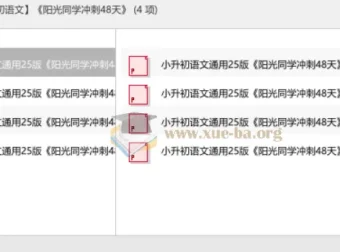 2025小升初语文冲刺必备：《阳光同学冲刺48天》备考资料合集