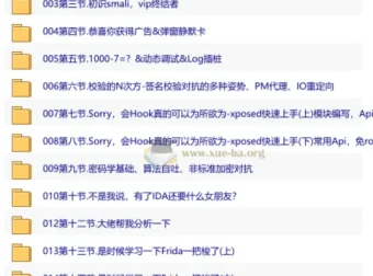 安卓逆向入门教程《安卓逆向这档事》完整版