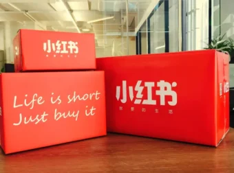 小红书提款机实战教程：素人博主从0到1接单全攻略，账号定位到长期合作陪跑