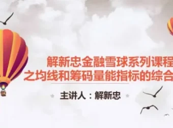 解新忠职业操盘手筹码技术课（9节完整版）