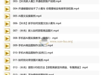 庄周不梦蝶《AI图文带货视频课程》零基础实操指南