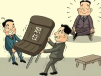 体制主任付费文合集：体制内生存与进阶的实战指南