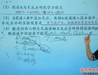 陈潭飞初三化学满分冲刺班（人教版）系统复习课程
