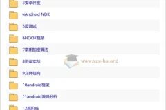 Android安卓逆向破解实战教程：手游加密算法、文件结构与协议Hook全解析