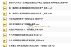 雕刻视频教程合集，从入门到进阶的水果与食品雕刻技法