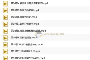 短视频与直播带货全流程实操课：从基础搭建到爆单变现（90节）