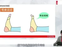 零基础角色绘画速成指南：代代木动画学院系统课程