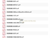 Nina英语易错题专项突破资料合集