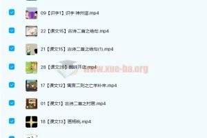 芝麻动漫语文小学二年级下册33讲 视频课程