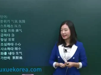 零基础韩语自学大合集：14套课程从发音入门到TOPIK备考全覆盖