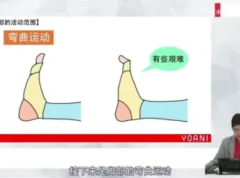 零基础角色绘画速成指南：代代木动画学院系统课程